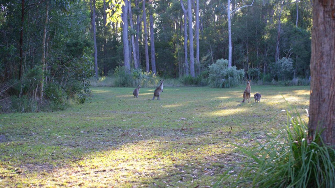 Nrma Darlington Beach Holiday Resort Arrawarra Eksteriør bilde