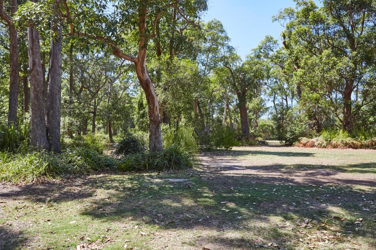 Nrma Darlington Beach Holiday Resort Arrawarra Eksteriør bilde